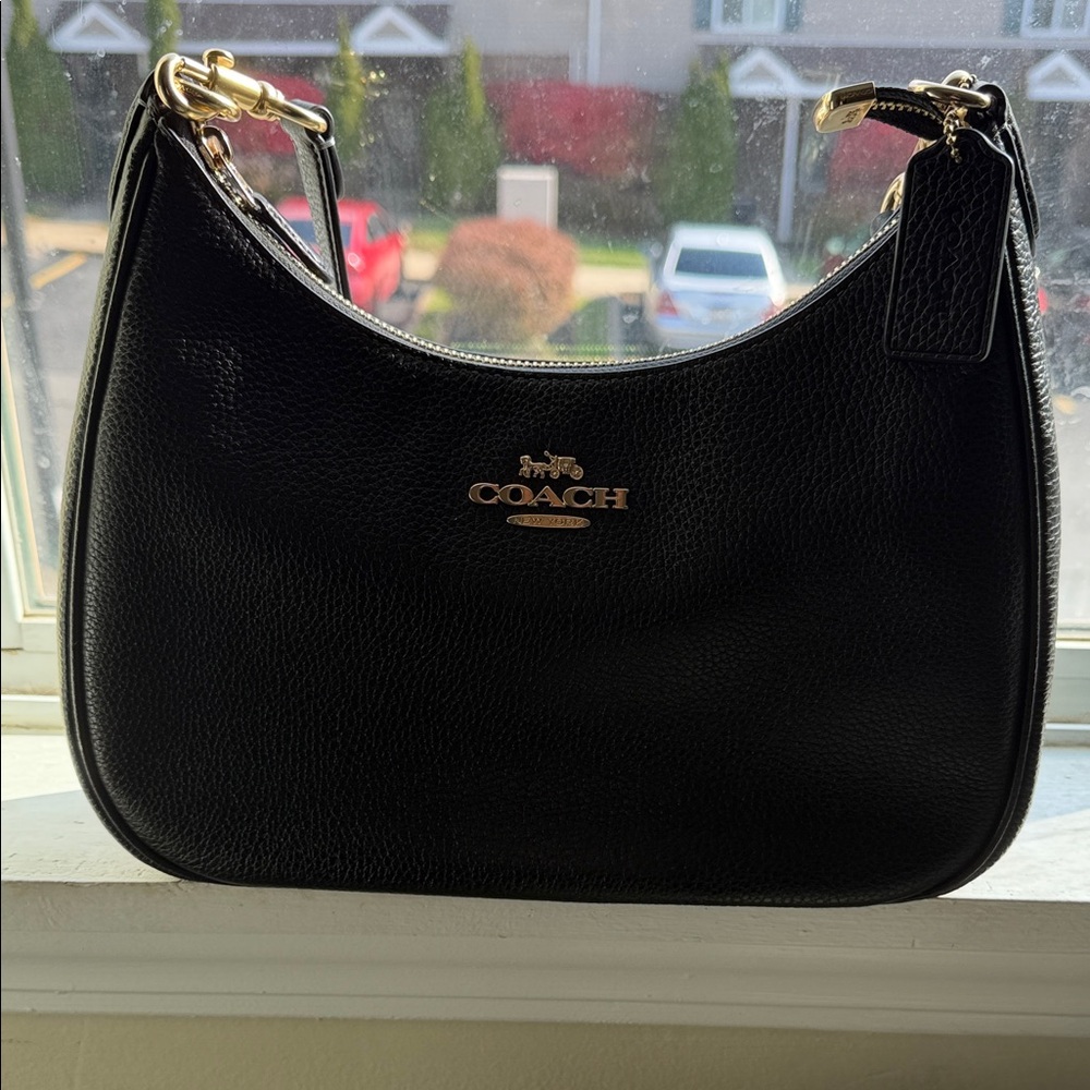 Coach Teri Hobo Bag
